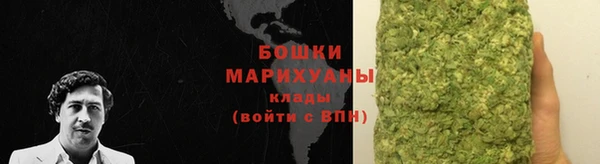 бошки Протвино