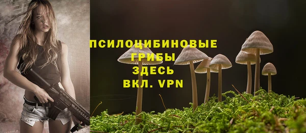 МДПВ Верхнеуральск